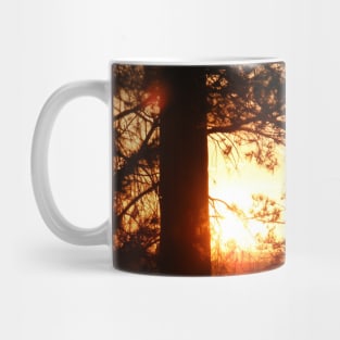 Sunset Through Pines Mug